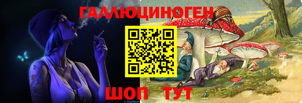 Богданович  Галлюциногенные грибы GOLDEN TEACHER  Вход с VPN 